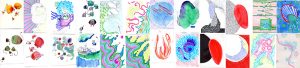 week 1 – 100 dagen kliederen – papier, karton, potlood, stift, aquarel, fineliner, balpen – Suzanne Bodde 2016